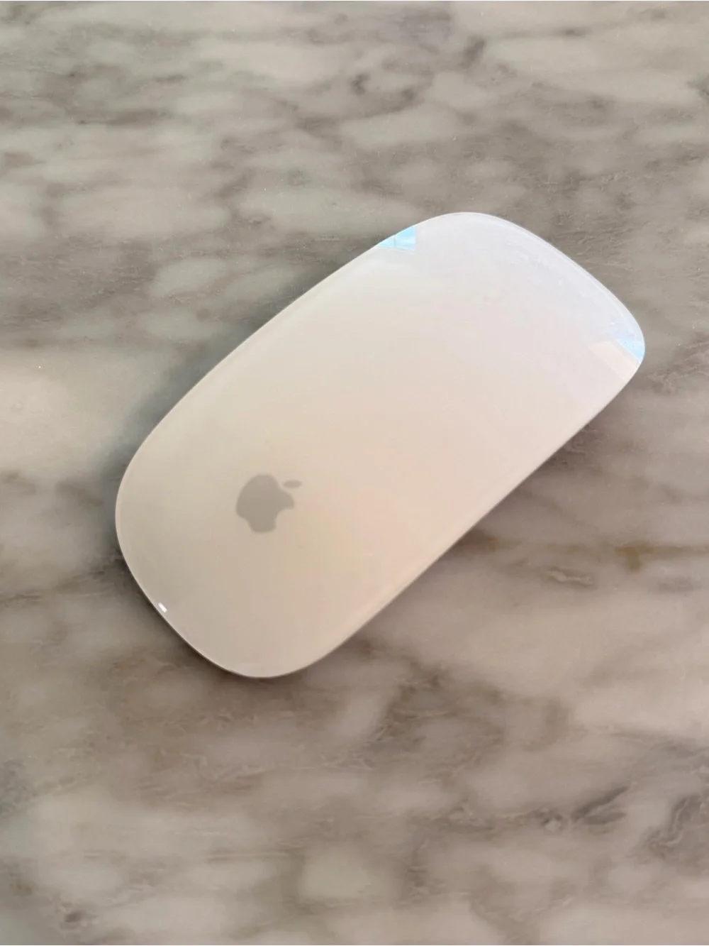 Apple Wireless Magic Mouse in Silver and Black